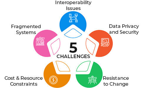 Challenges of Integrated Healthcare Systems