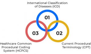 A Comprehensive Guide to Explore Medical Coding Systems