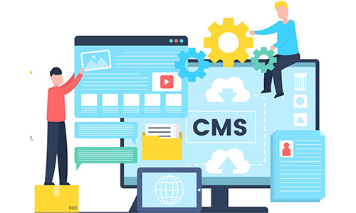 CMS-based Patient Engagement Software