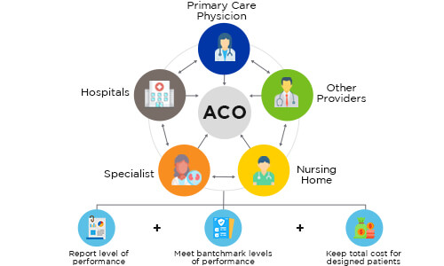 Accountable Care Organizations